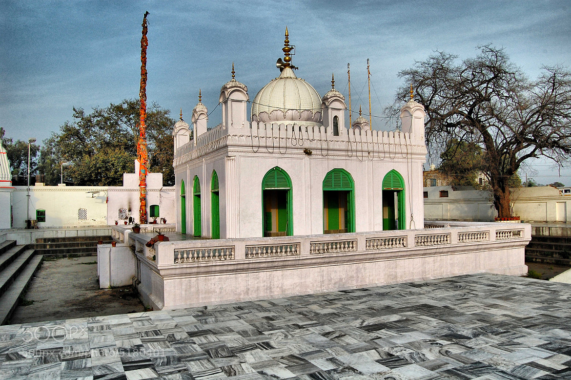 naidunia_image
